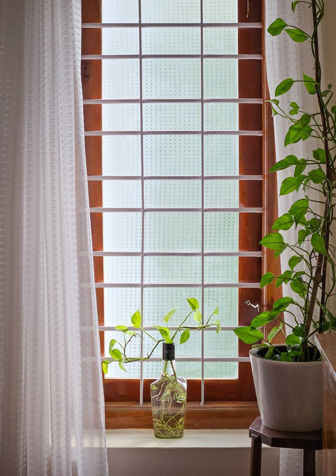 A tall wooden window letting soft light into a room, with a plant cutting in a bottle on the sill.