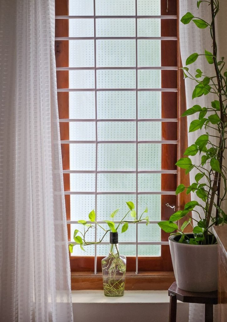 A tall wooden window with a gridded pane letting soft light into a room, a plant cutting in a bottle on the sill and a white curtain at the side.