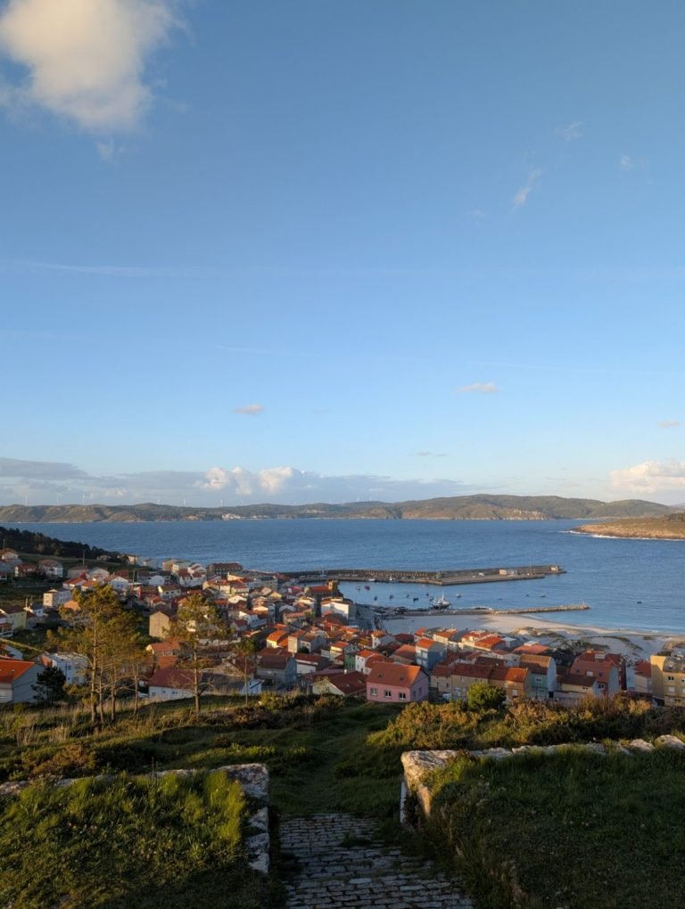 Red Roofs Above the Harbour
