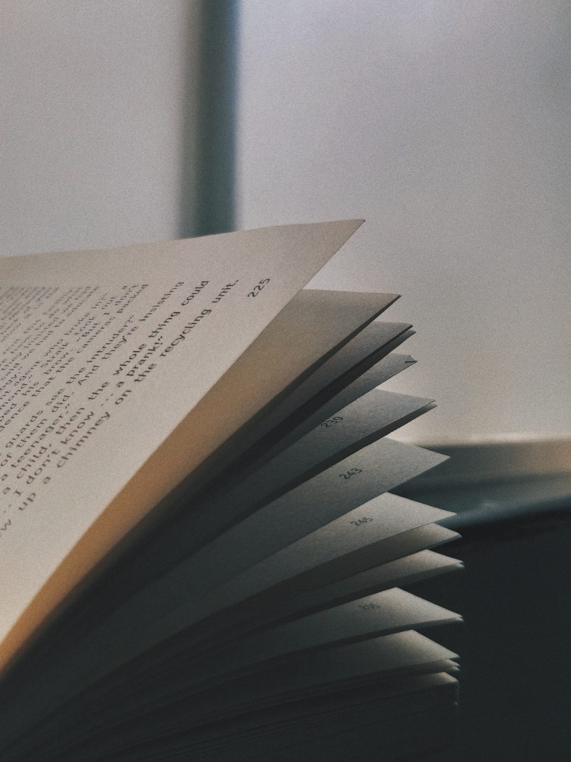 The pages of an open paperback fan out in soft light.