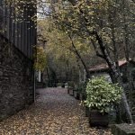 Walking the same path for a year
