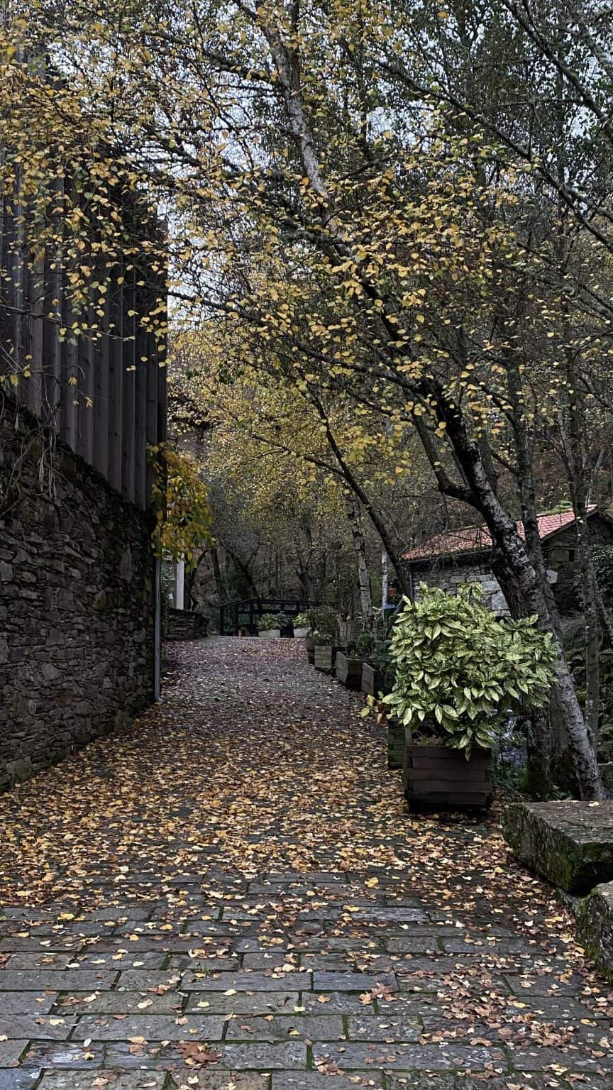 Stone-paved pathway covered with yellow autumn leaves, lined with trees and a rustic stone building.