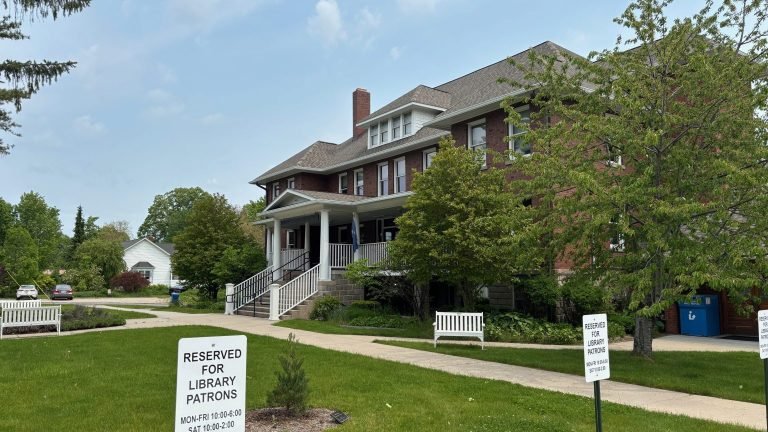 Four hours on a Saturday at the branch library