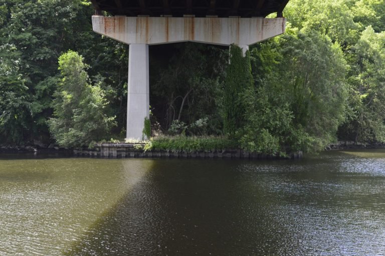 Bridge pillars in a shaded river