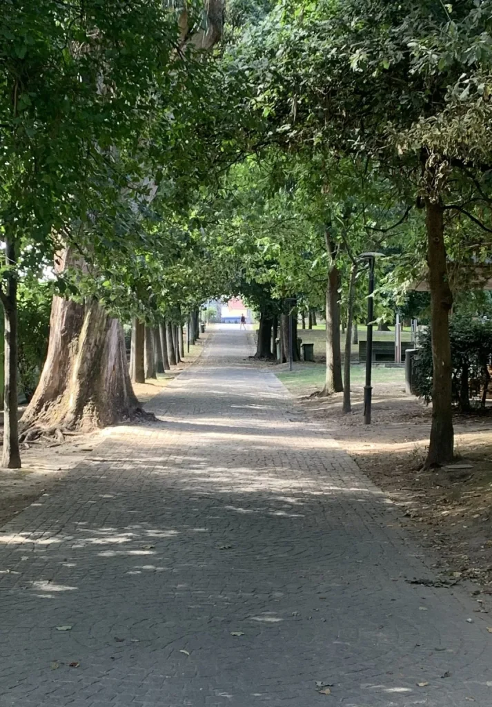 The shaded path through the park