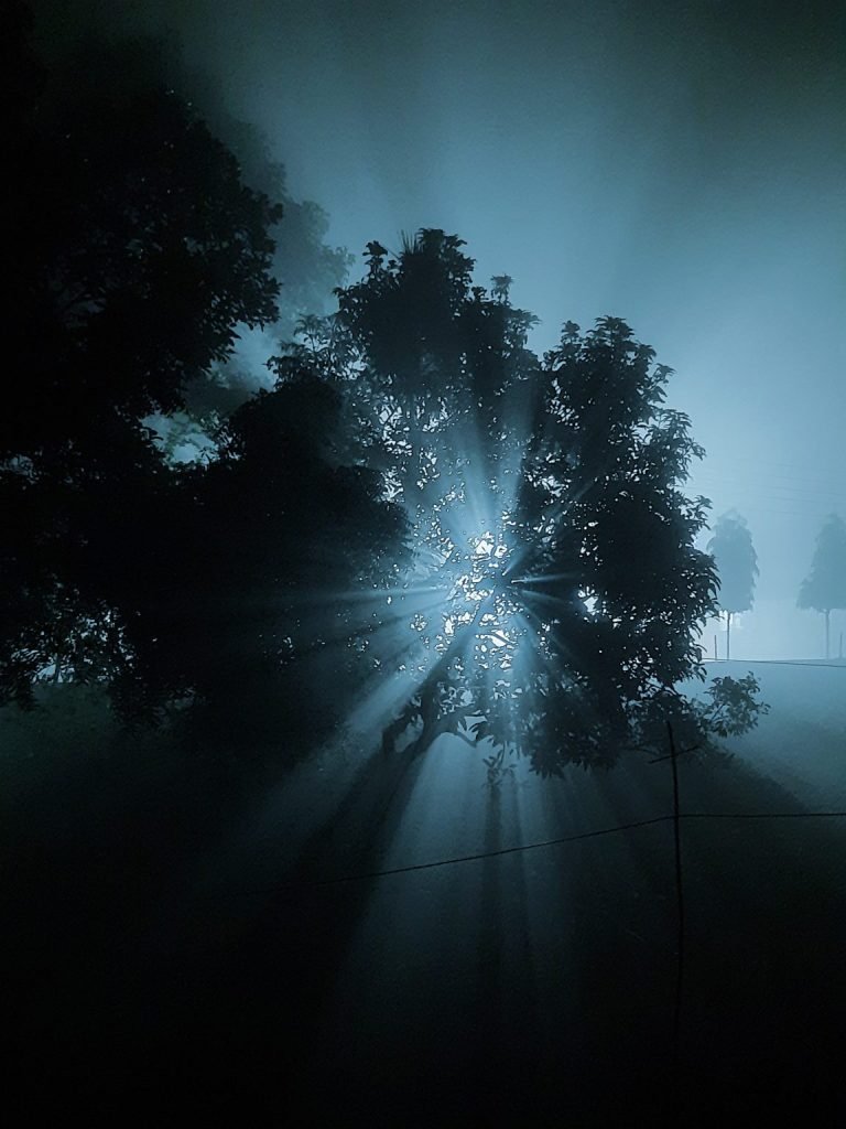Light Behind the Mist