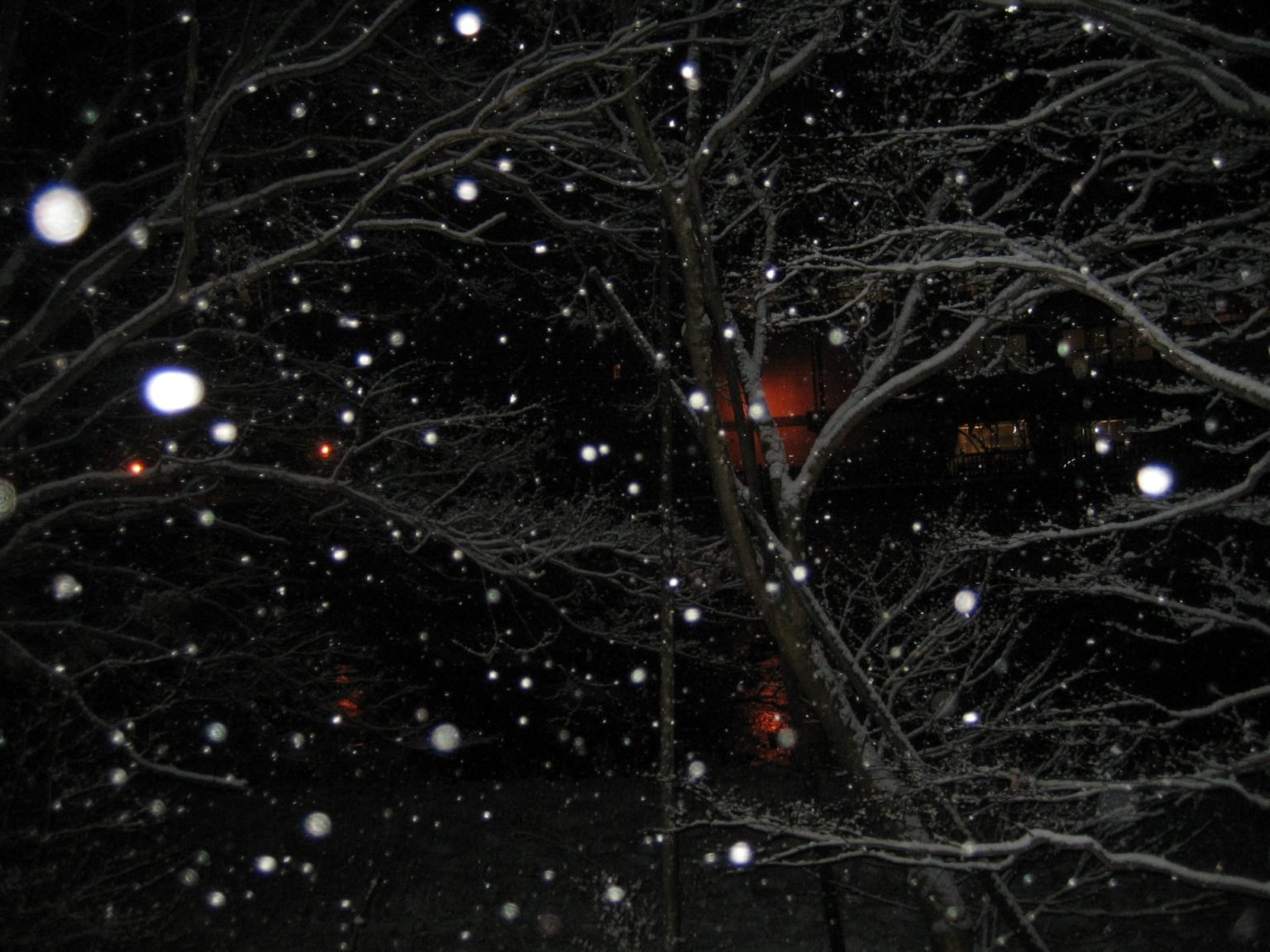 Snow falls through dark bare branches, with a small red-lit window in the background.